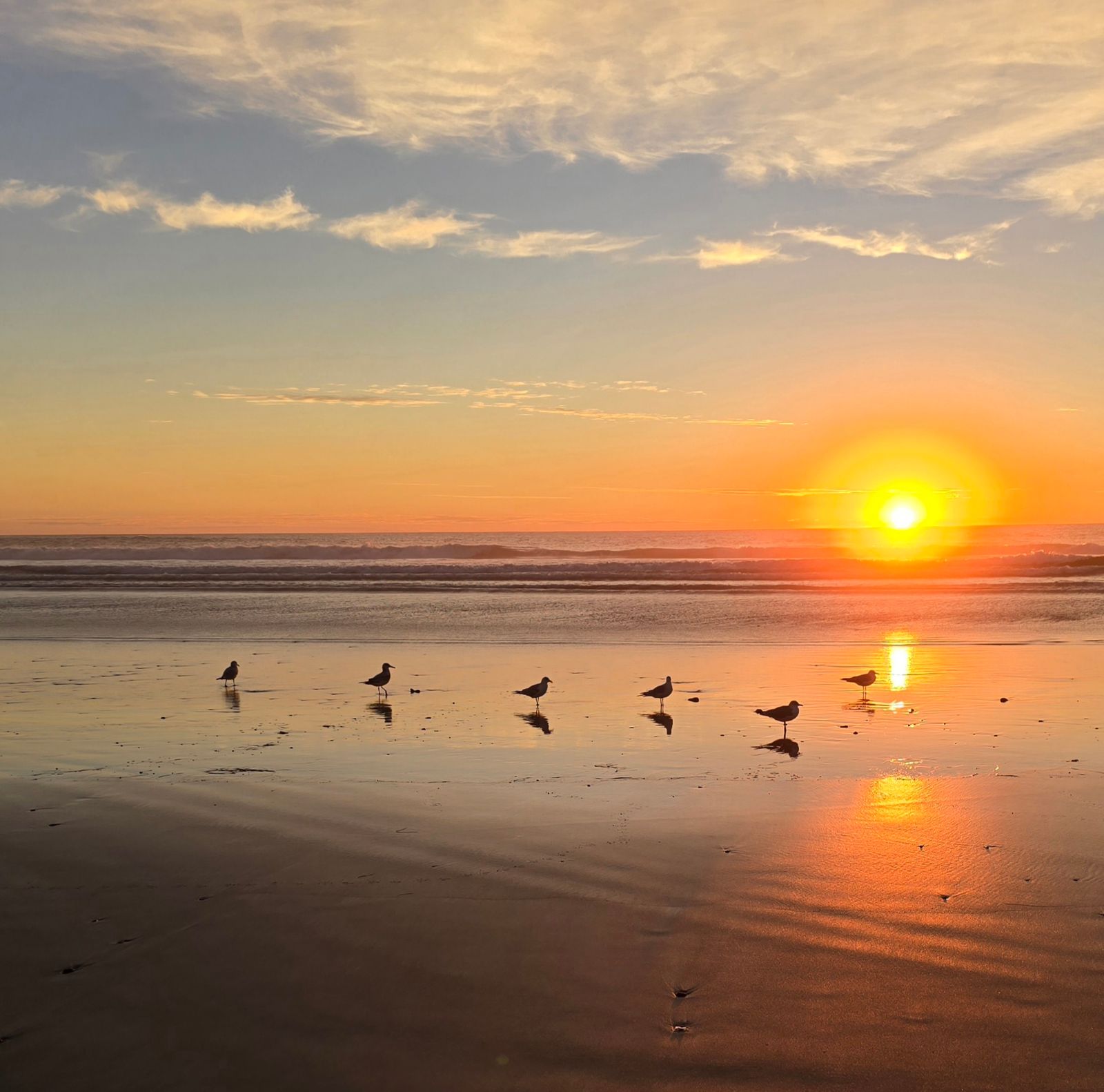 Our beautiful sunsets